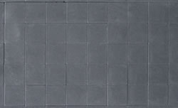 FZ-6